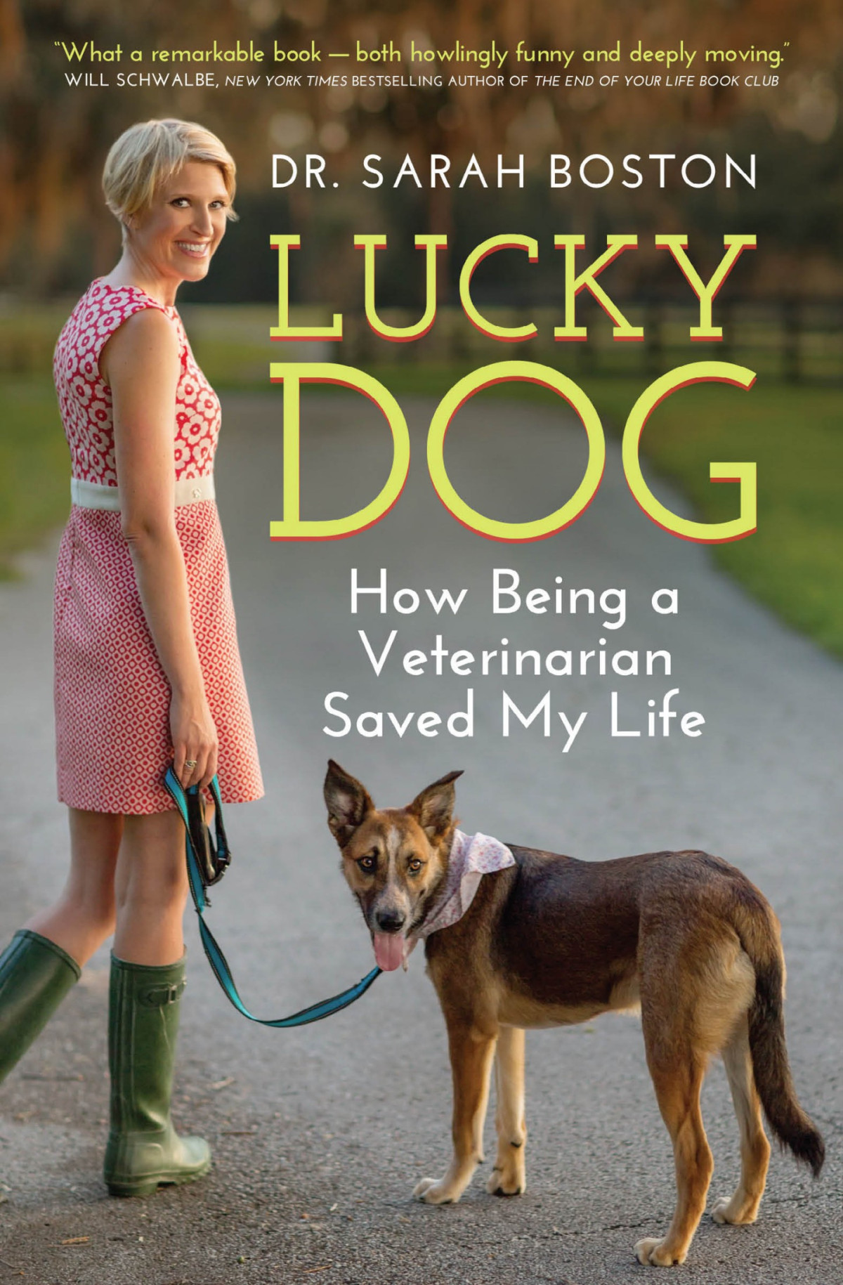 Lucky Dog Boston Sarah