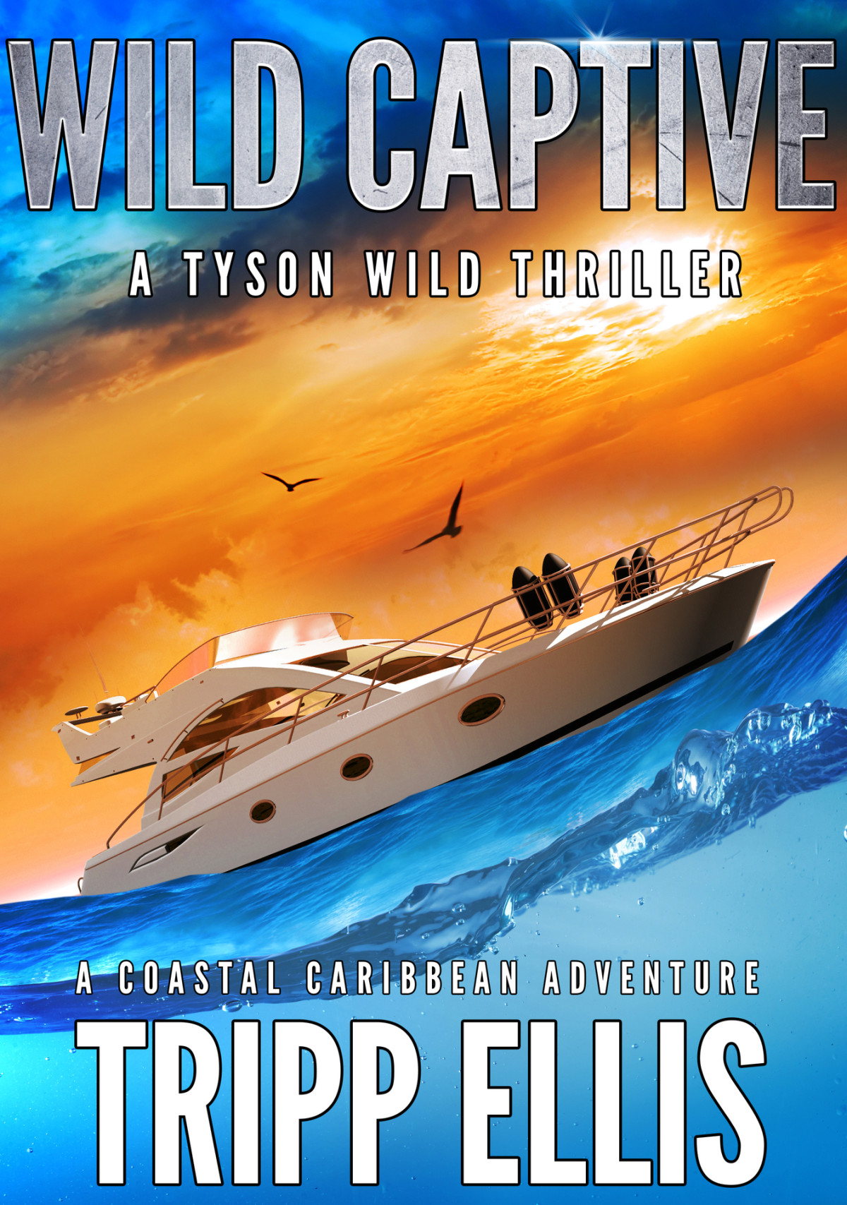 Wild Captive A Coastal Caribbean Adventure Tyson Wild Thriller Book 6 Ellis