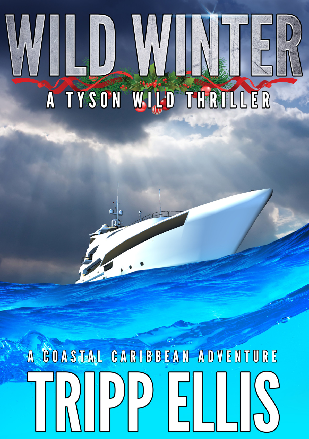 Wild Winter A Coastal Caribbean Adventure Tyson Wild Thriller Book 48 Ellis
