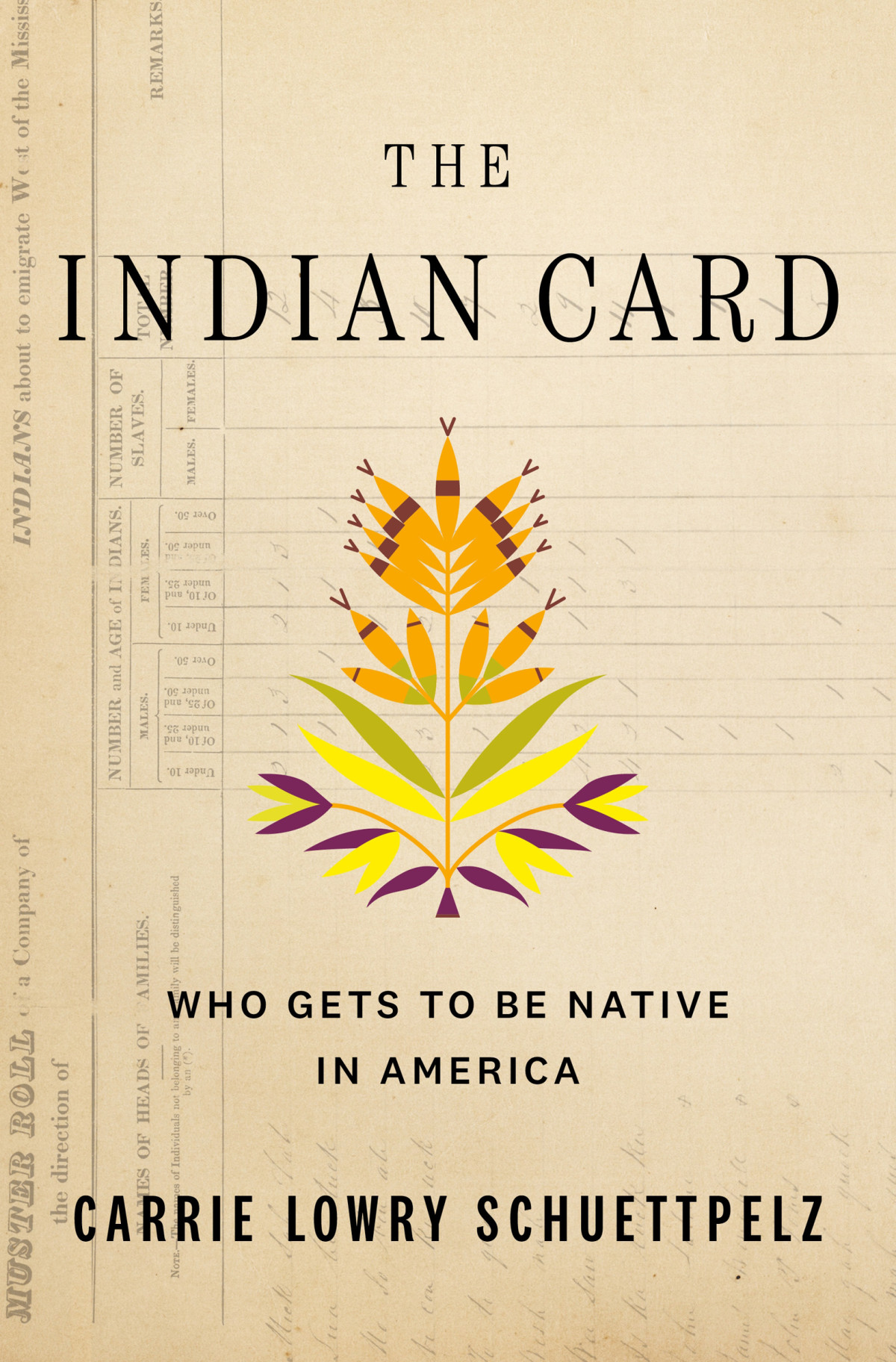 The Indian Card Who Gets To Be Native In America Carrie Lowry Schuettpelz