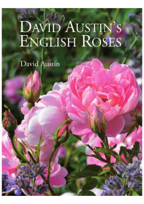 David Austins English Roses David Austin