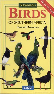 Newmans Birds Of Southern Africa Newman K