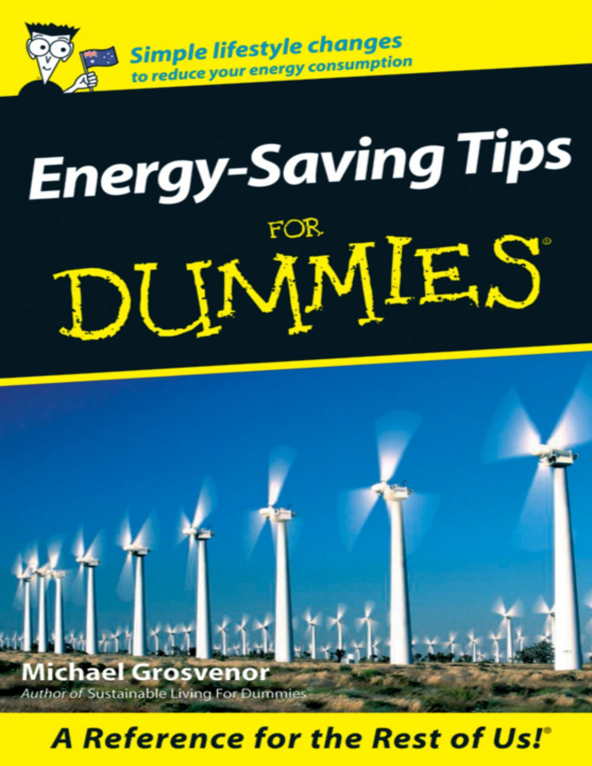 Energysaving Tips For Dummies Michael Grosvenor