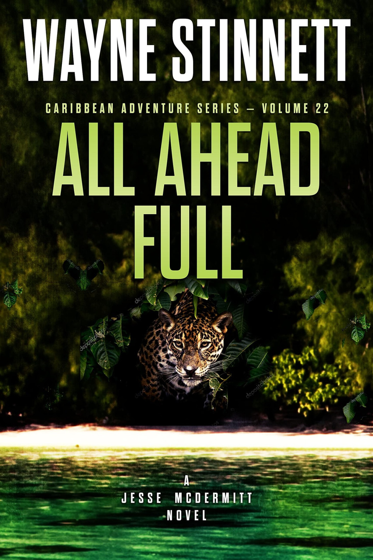 All Ahead Full Wayne Stinnett
