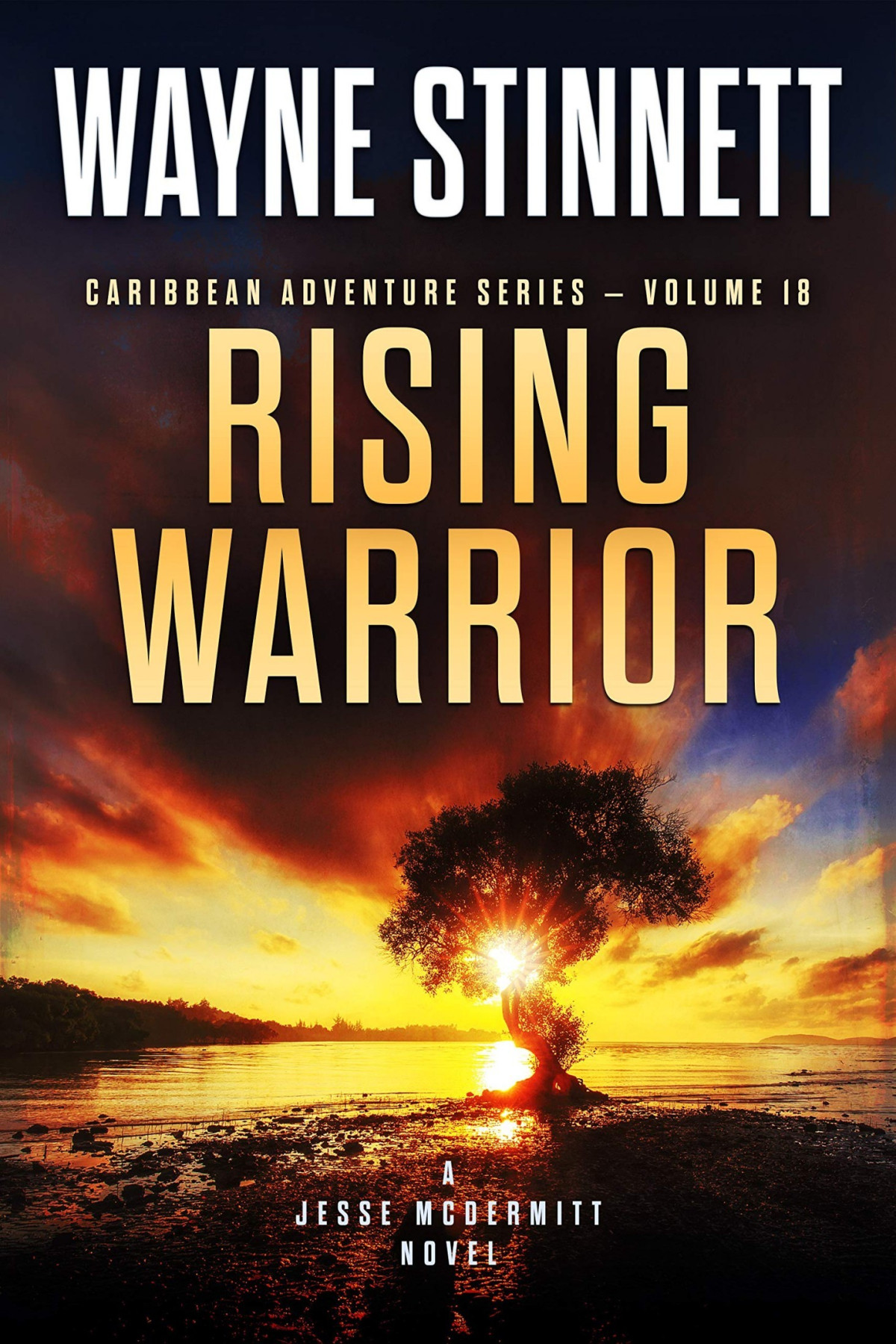 Rising Warrior Wayne Stinnett