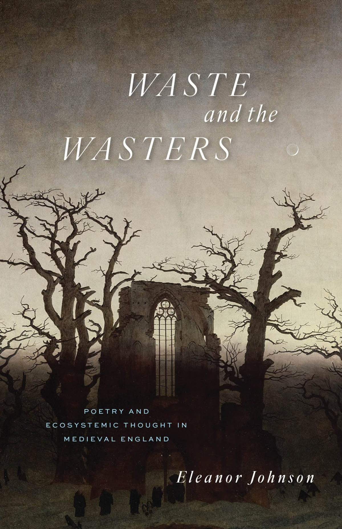 Waste And The Wasters Poetry And Ecosystemic Thought In Medieval England 1st Edition Eleanor Johnson