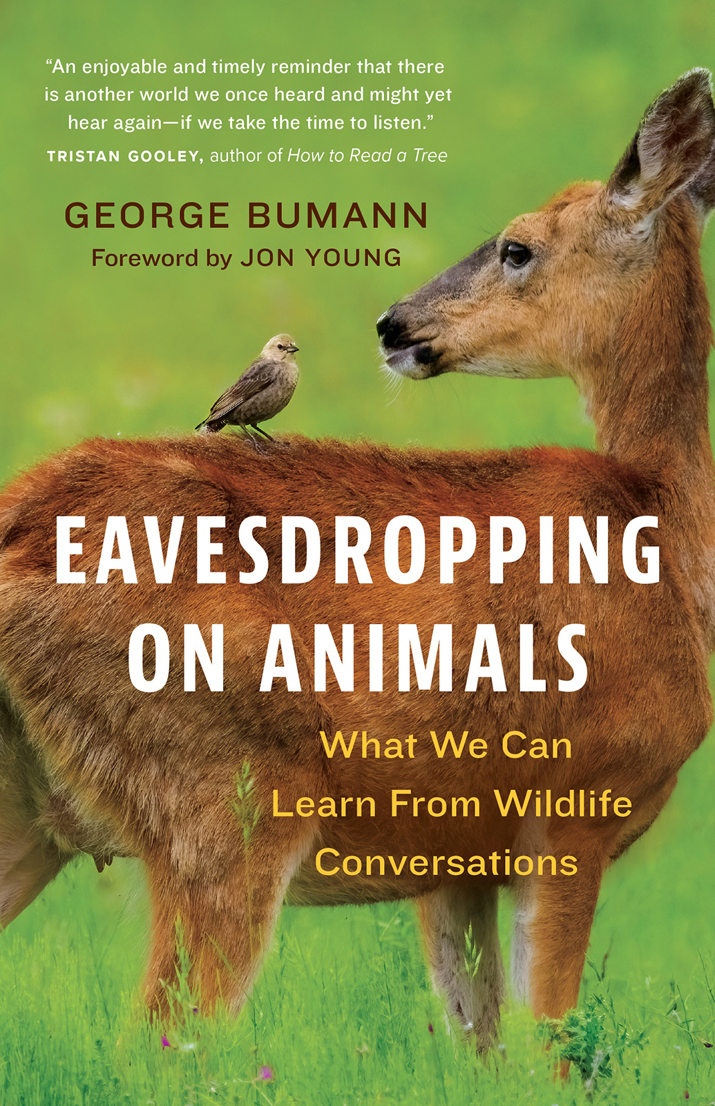 Eavesdropping On Animals What We Can Learn From Wildlife Conversations George Bumann