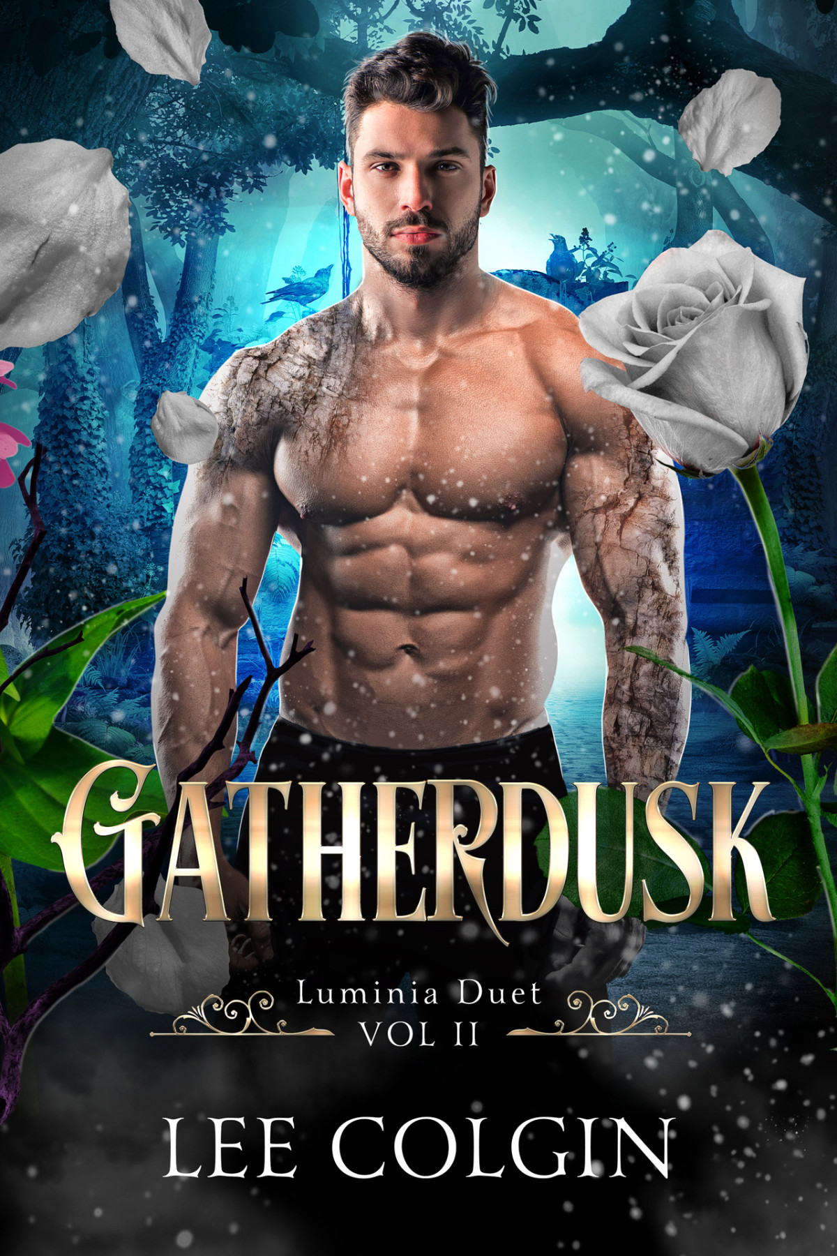 Gatherdusk Mm Fantasy Romance Luminia Duet Volume Ii Luminia Romances Lee Colgin