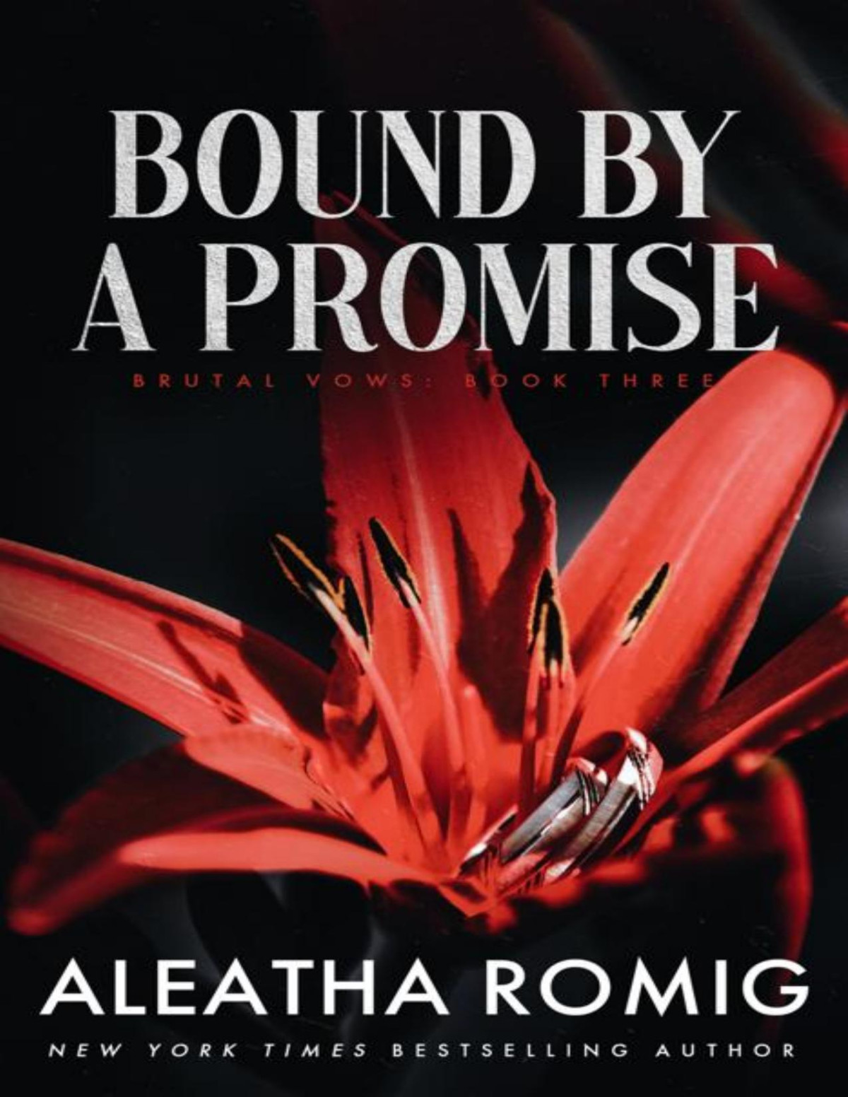 Bound By A Promise Mafiacartel Arranged Marriage Standalone Novel Aleatha Romig
