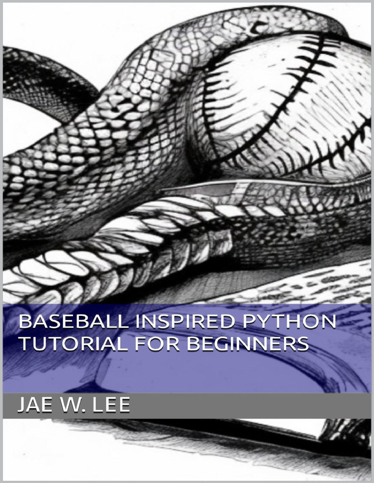 Baseball Inspired Python Tutorial For Beginners Jae W Lee