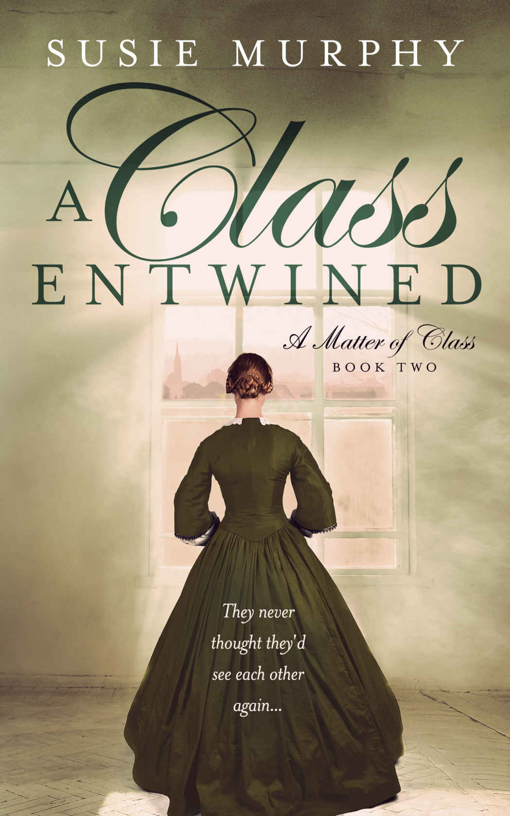 A Class Entwined Susie Murphy