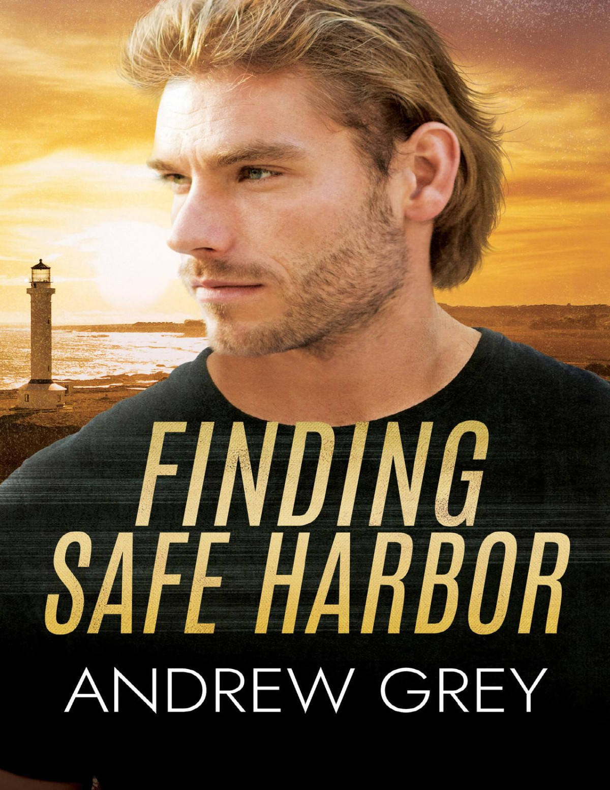 Finding Safe Harbor Rugged Coast Book 2 Andrew Grey