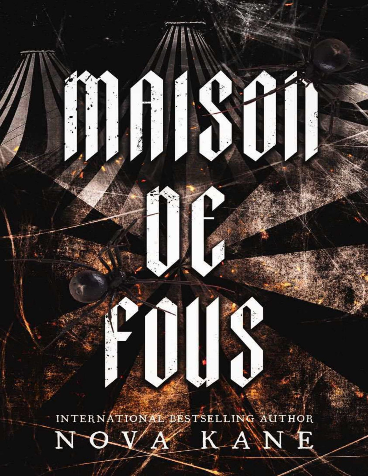 Maison De Fous Cirque Du Dsir Book 2 Nova Kane