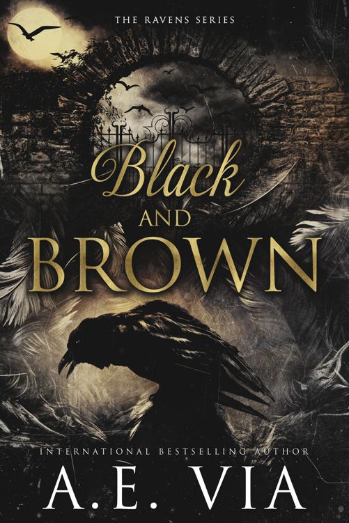 Black And Brown Raven Assassins Ravens Series Book 1 Ae Via