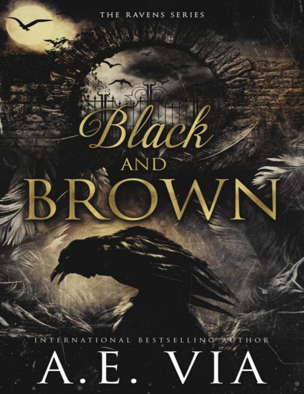 Black And Brown Raven Assassins Ravens Series Book 1 Ae Via