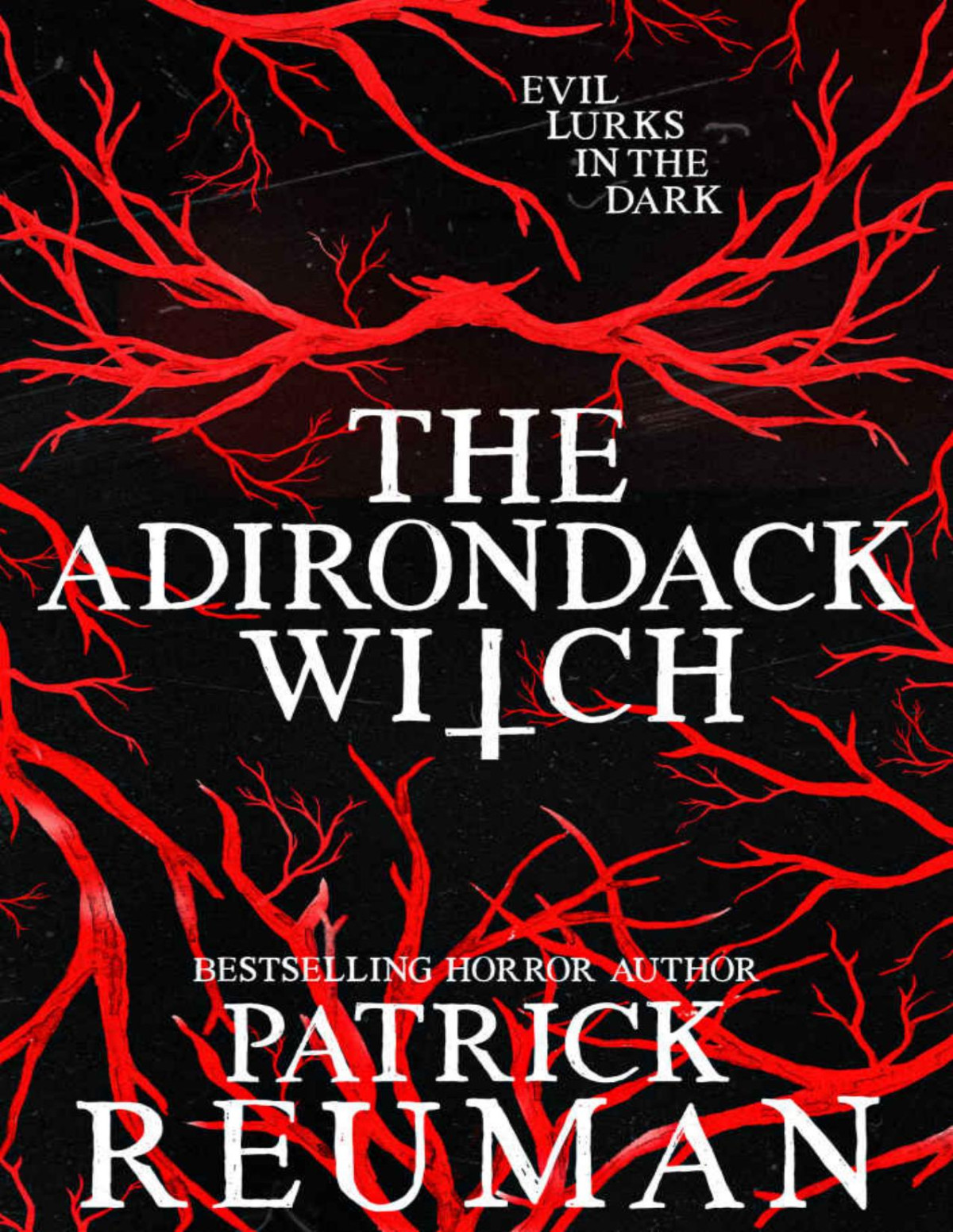 The Adirondack Witch Patrick Reuman