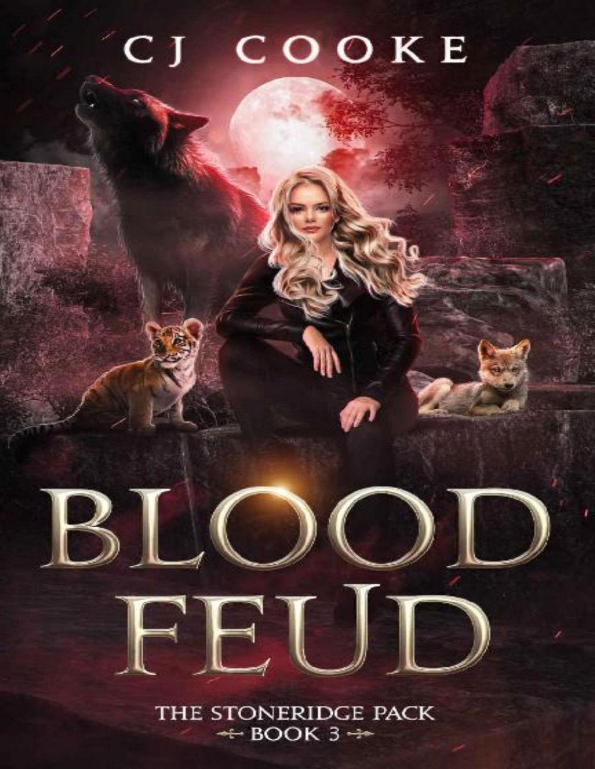 Blood Feud C J Cooke