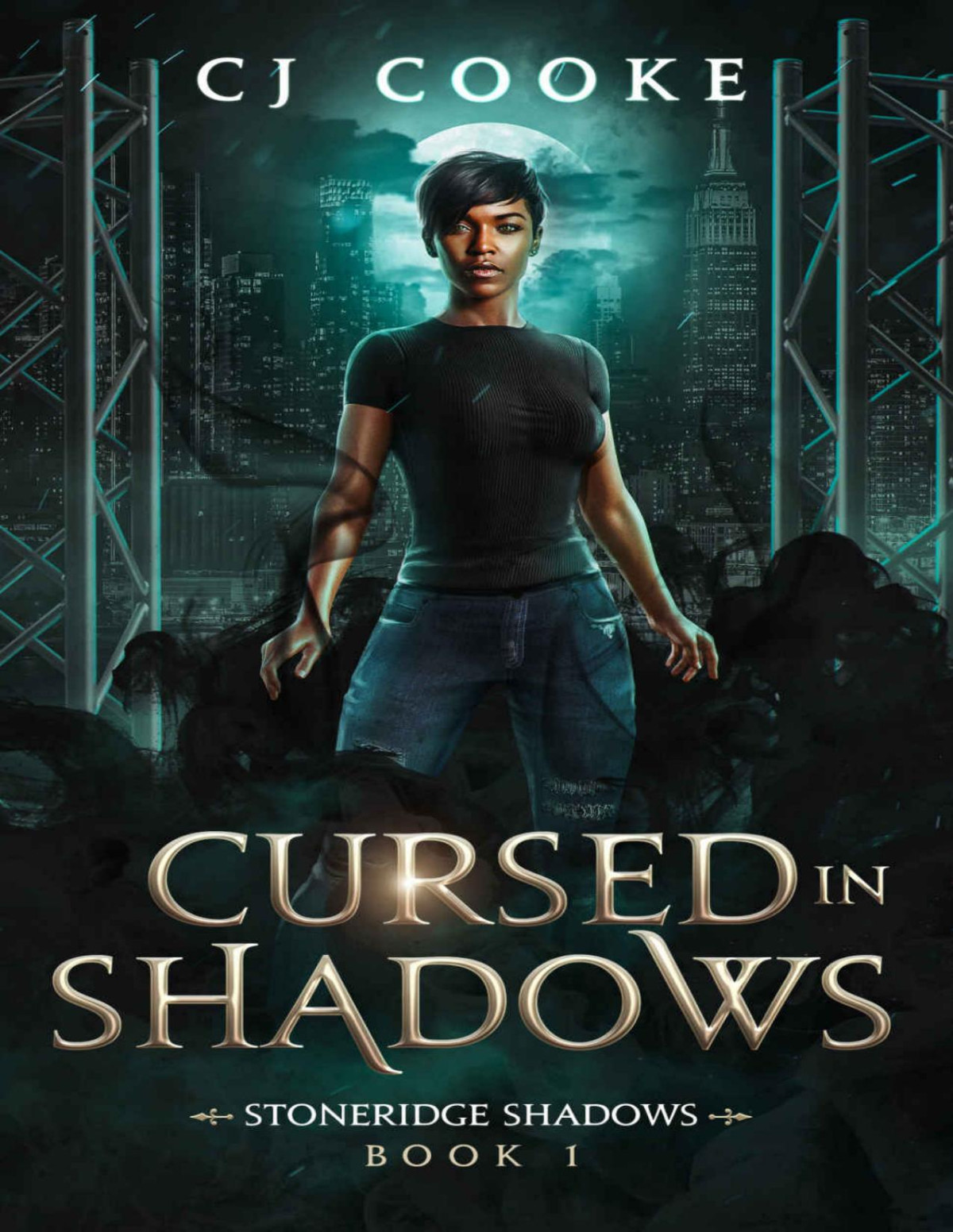 Cursed In Shadows C J Cooke