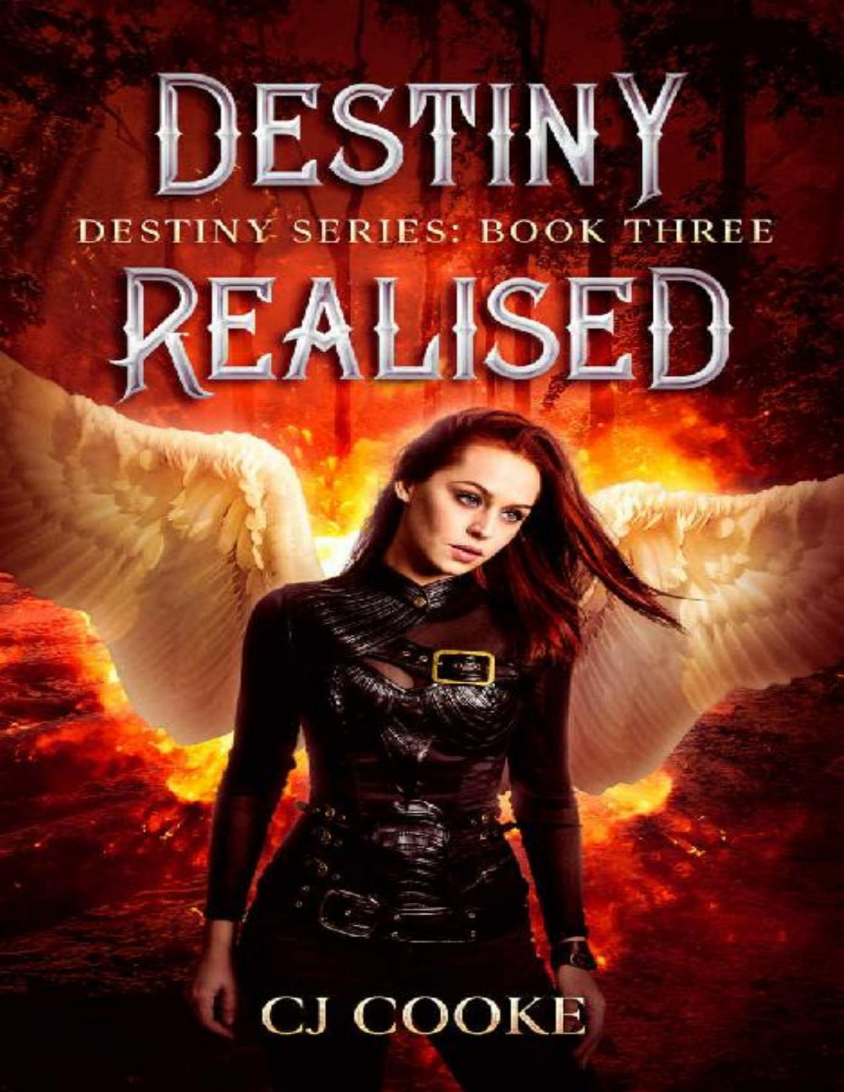 Destiny Realised C J Cooke