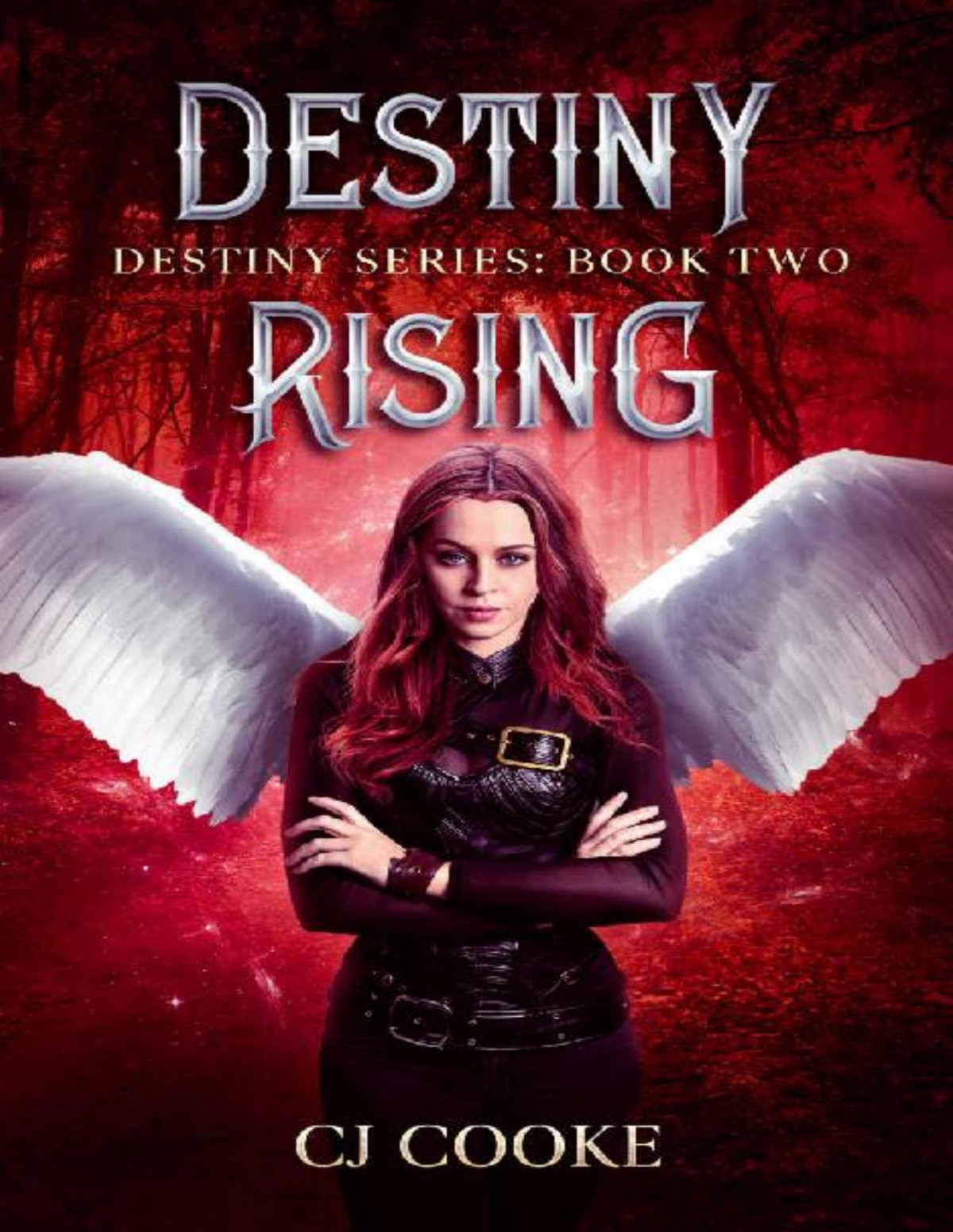 Destiny Rising C J Cooke