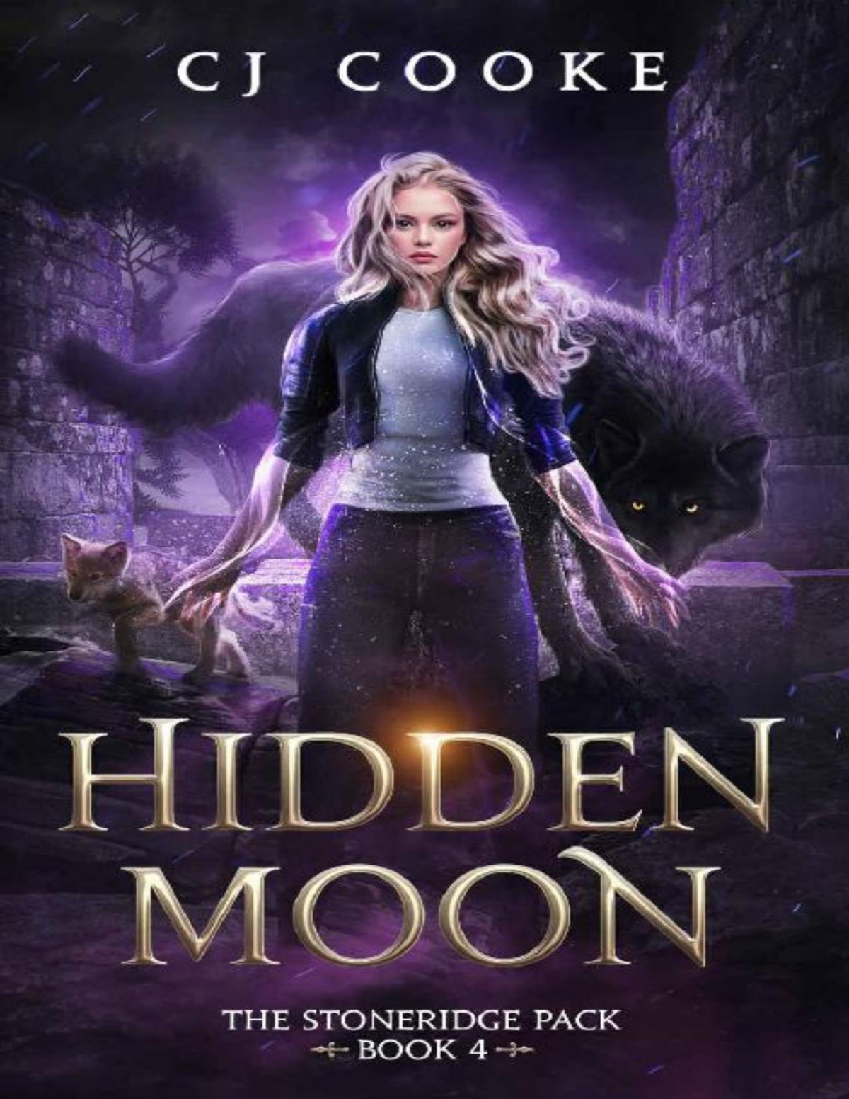 Hidden Moon C J Cooke