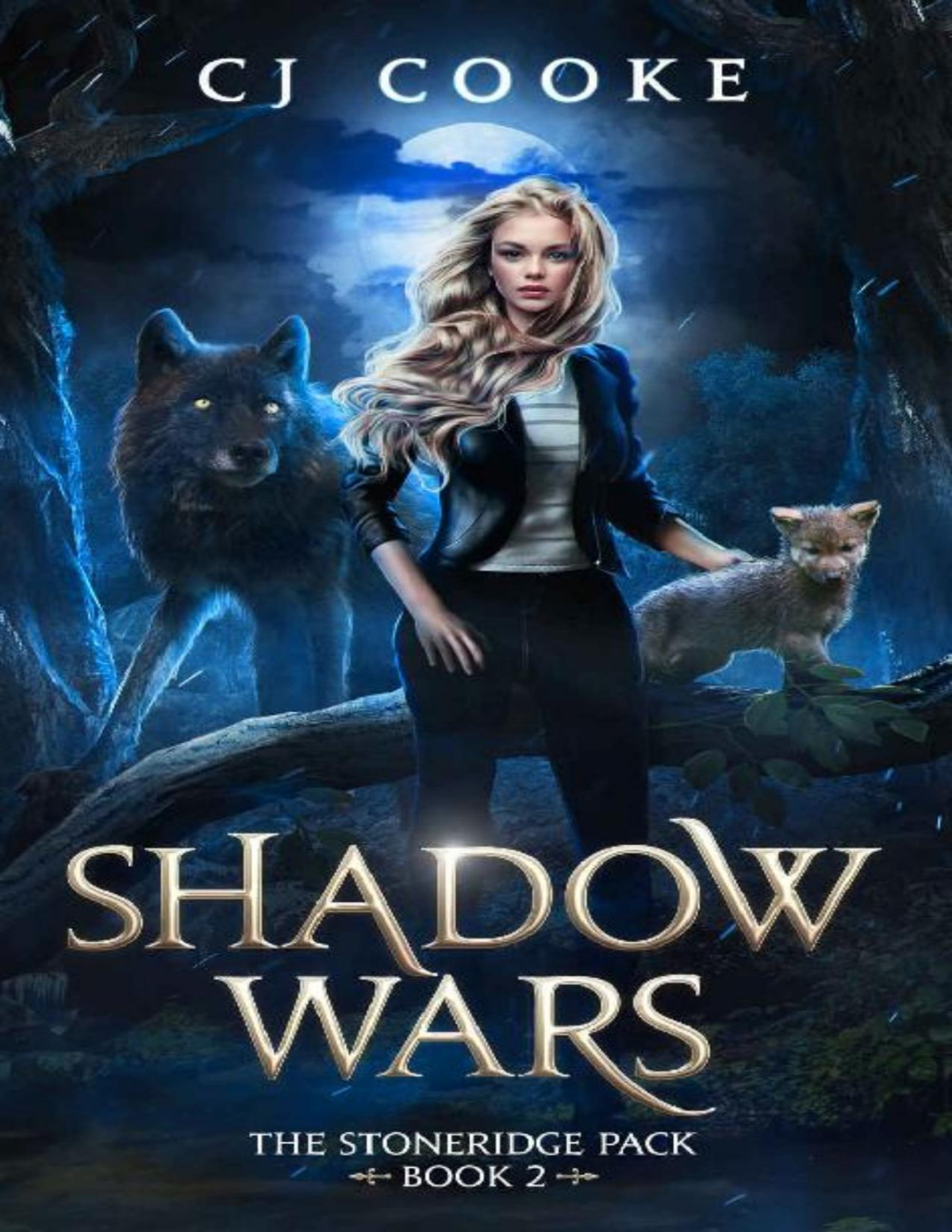 Shadow Wars C J Cooke