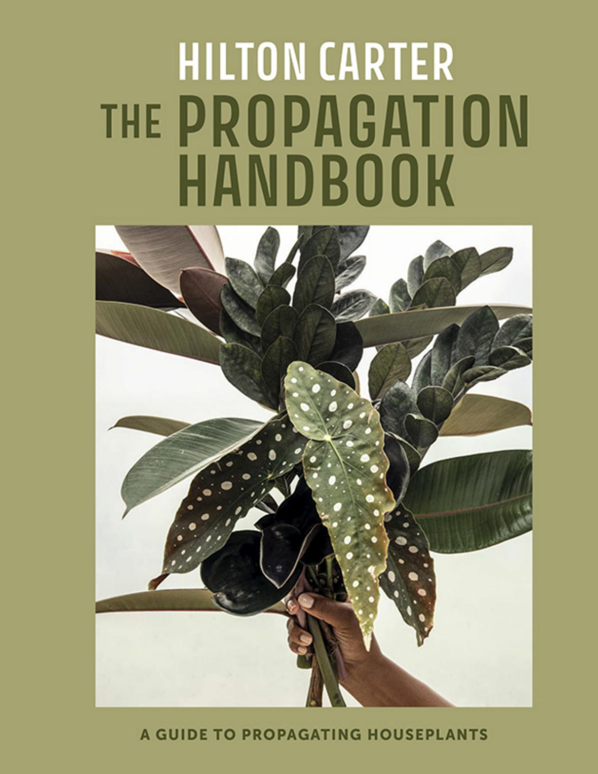 The Propagation Handbook A Guide To Propagating Houseplants Hilton Carter