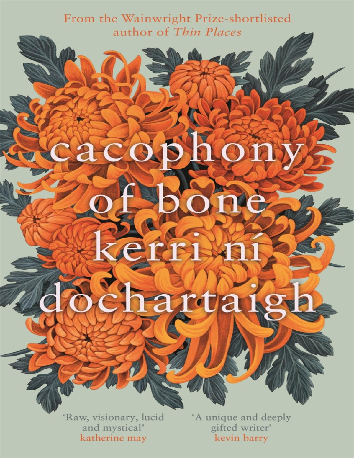 Cacophony Of Bone Kerri Ni Dochartaigh