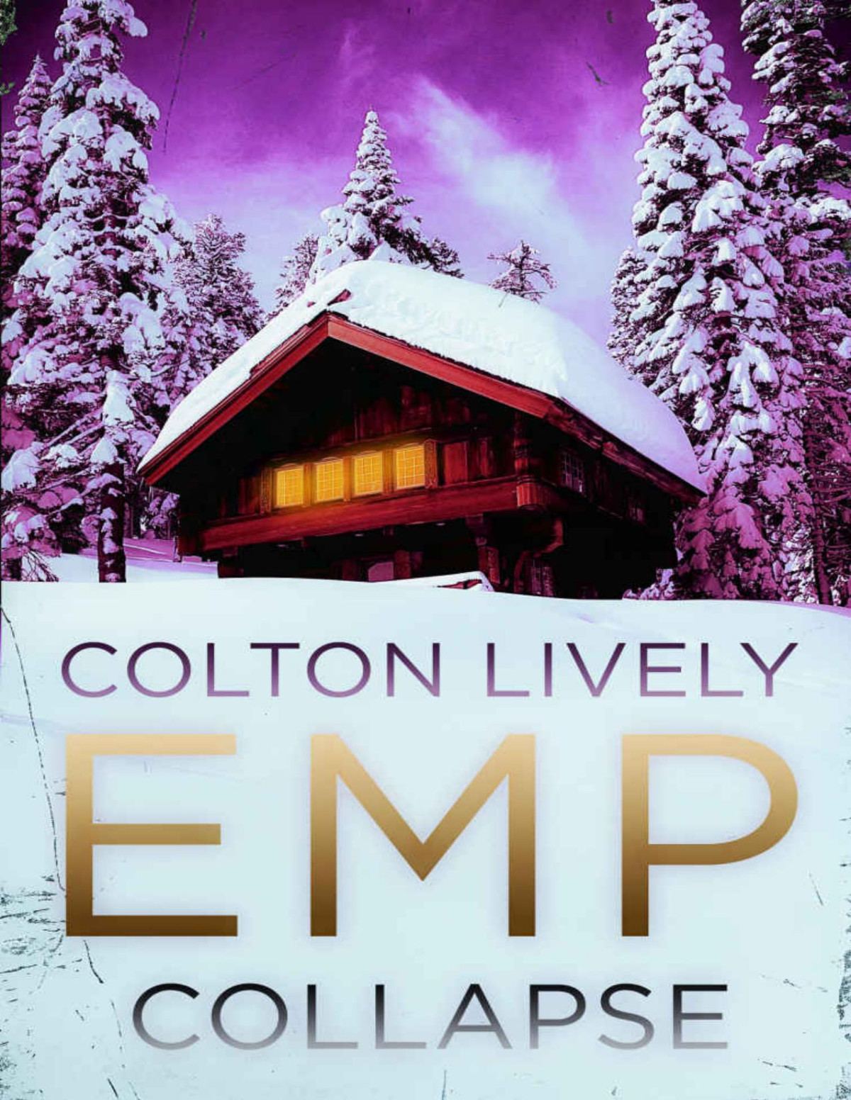 Emp Collapse A Small Town Post Apocalypse Emp Thriller Colton Lively