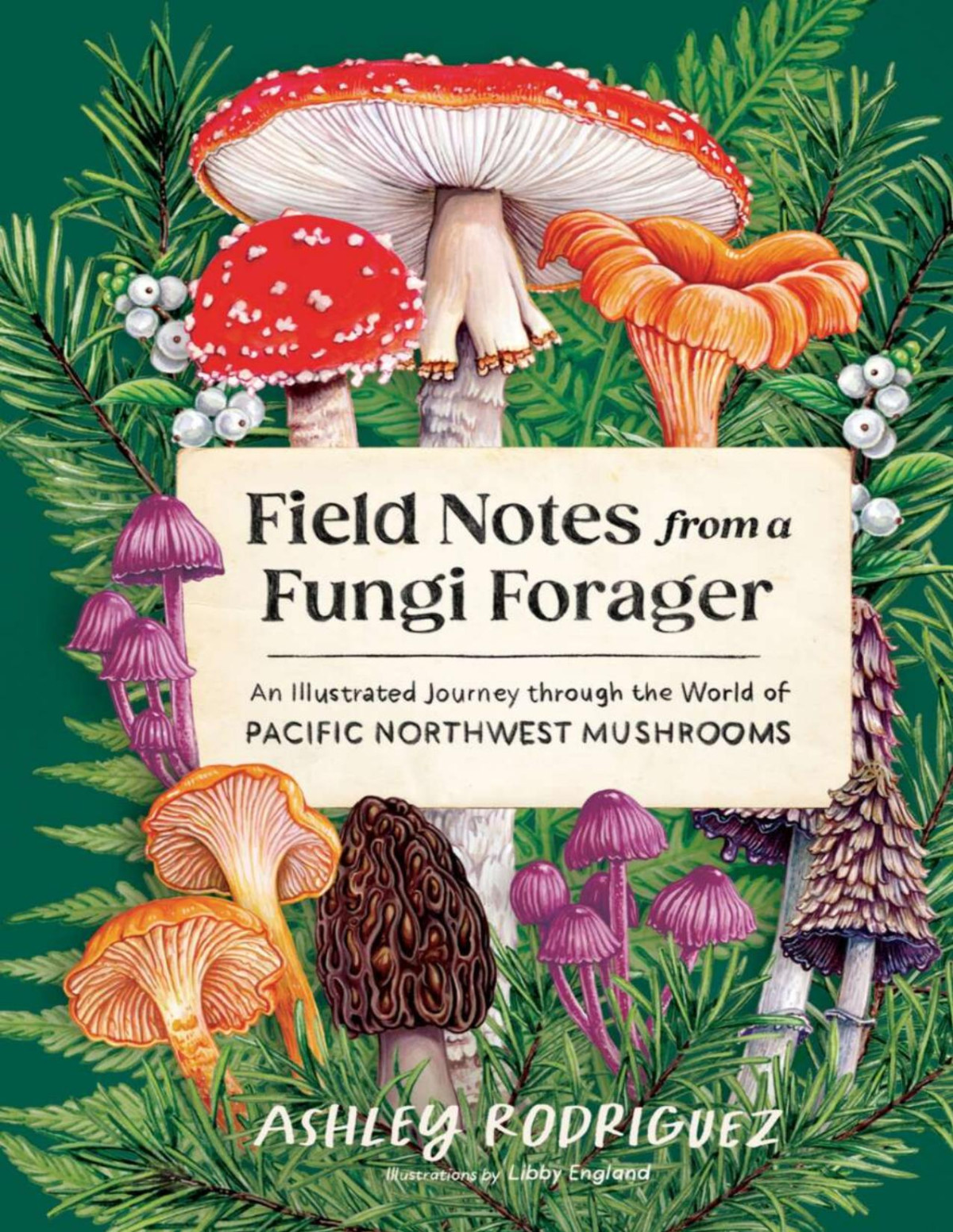 Field Notes From A Fungi Forager An Illustrated Journey Through The World Of Pacific Northwest Mushrooms Ashley Rodriguez Libby England