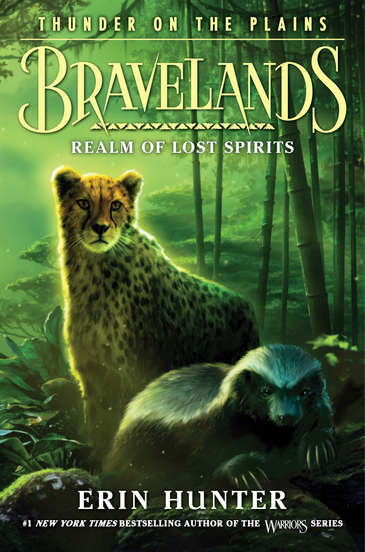 Realm Of Lost Spirits Erin Hunter
