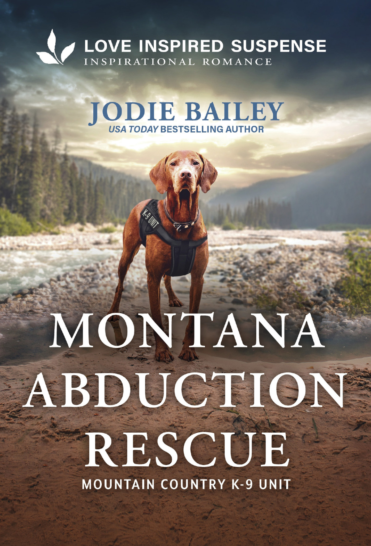 Montana Abduction Rescue Jodie Bailey