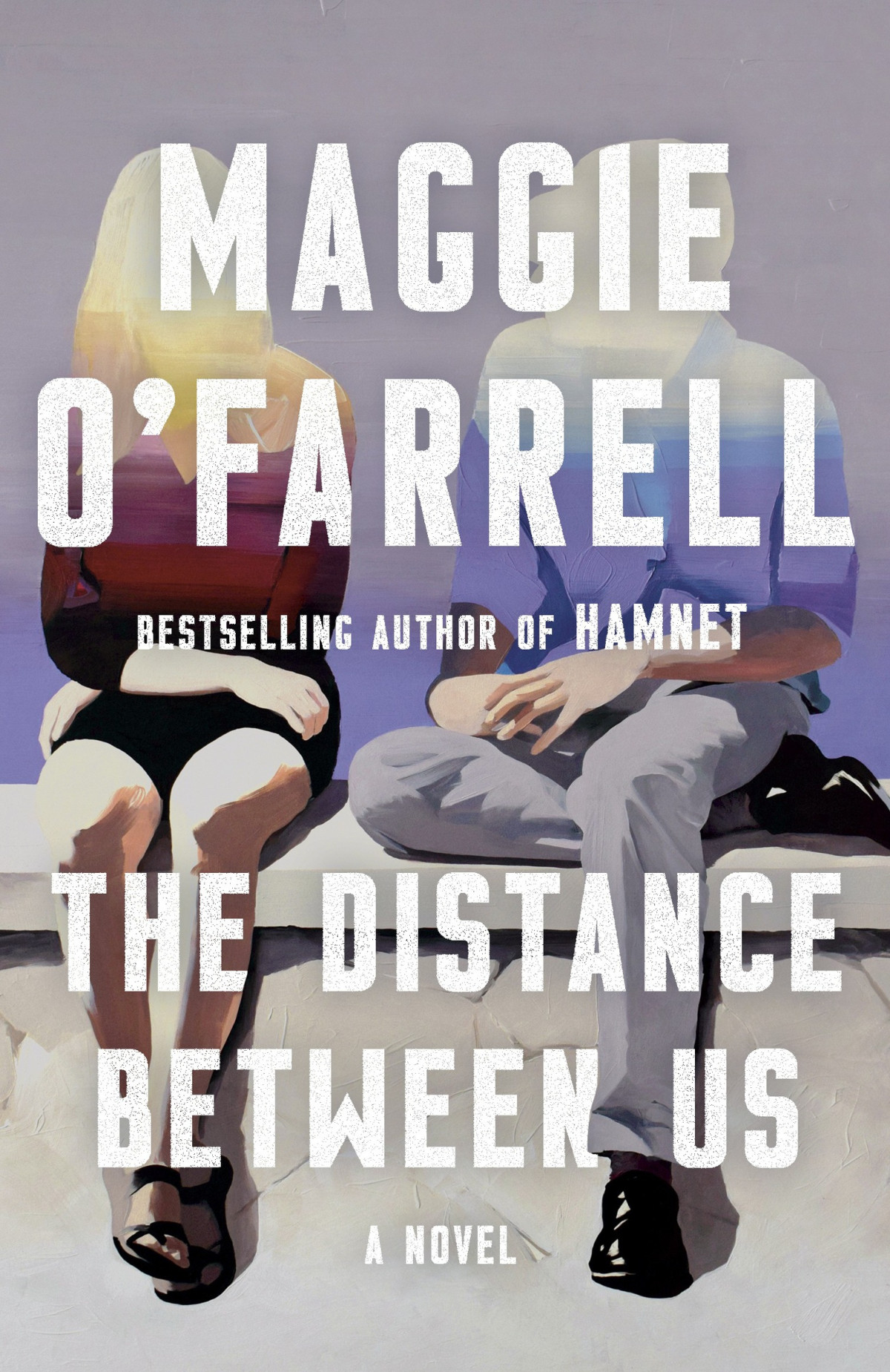 The Distance Between Us A Novel Maggie Ofarrell