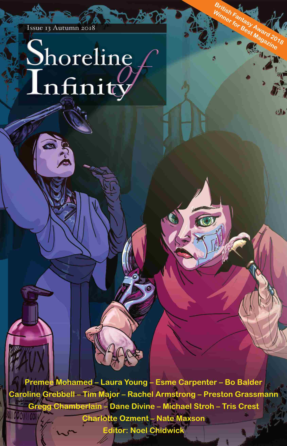 Shoreline Of Infinity 13 Rachel Armstrong