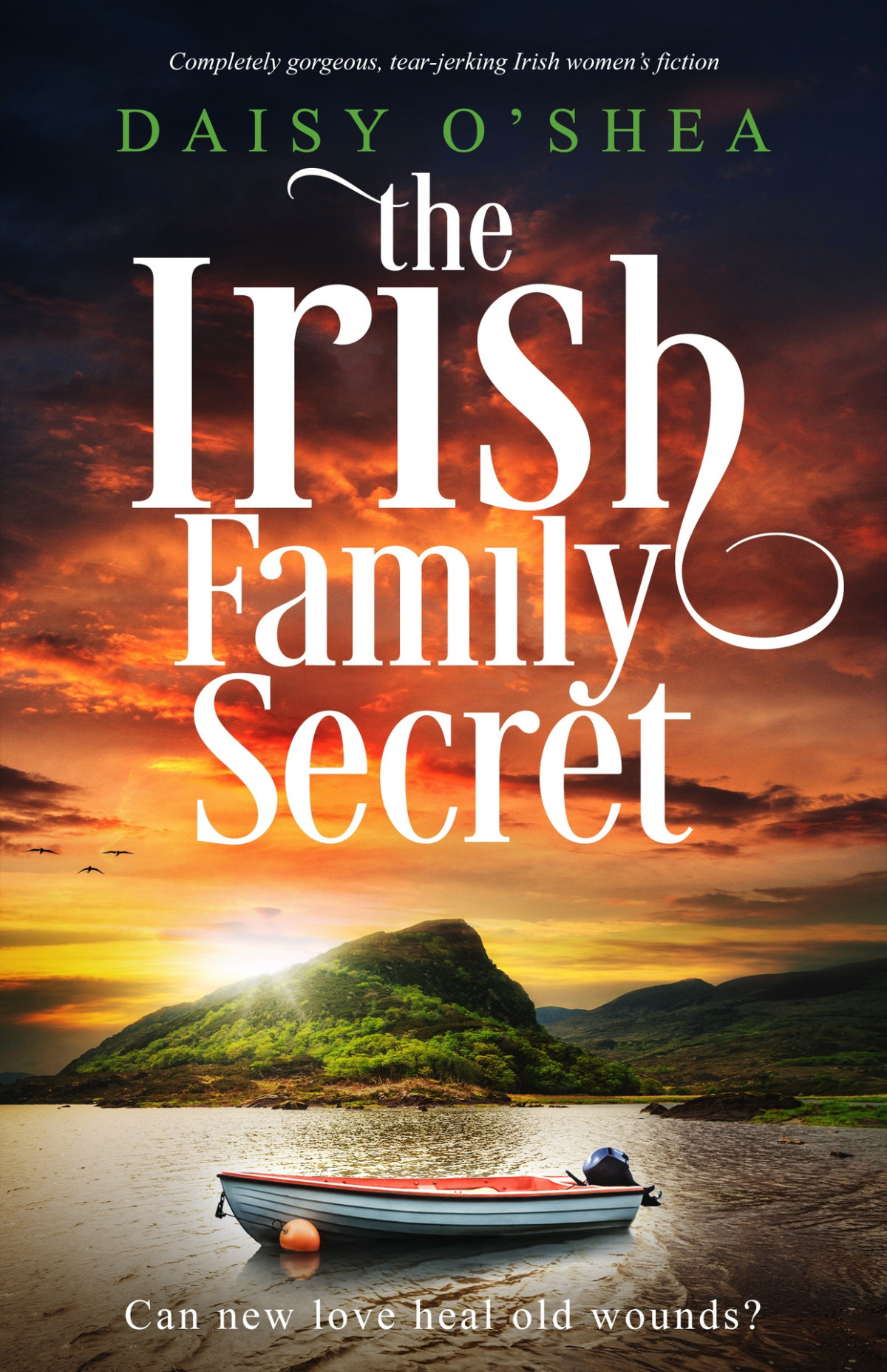 The Irish Family Secret Completely Gorgeous Tearjerking Irish Womens Fiction Emerald Isles Daisy Oshea