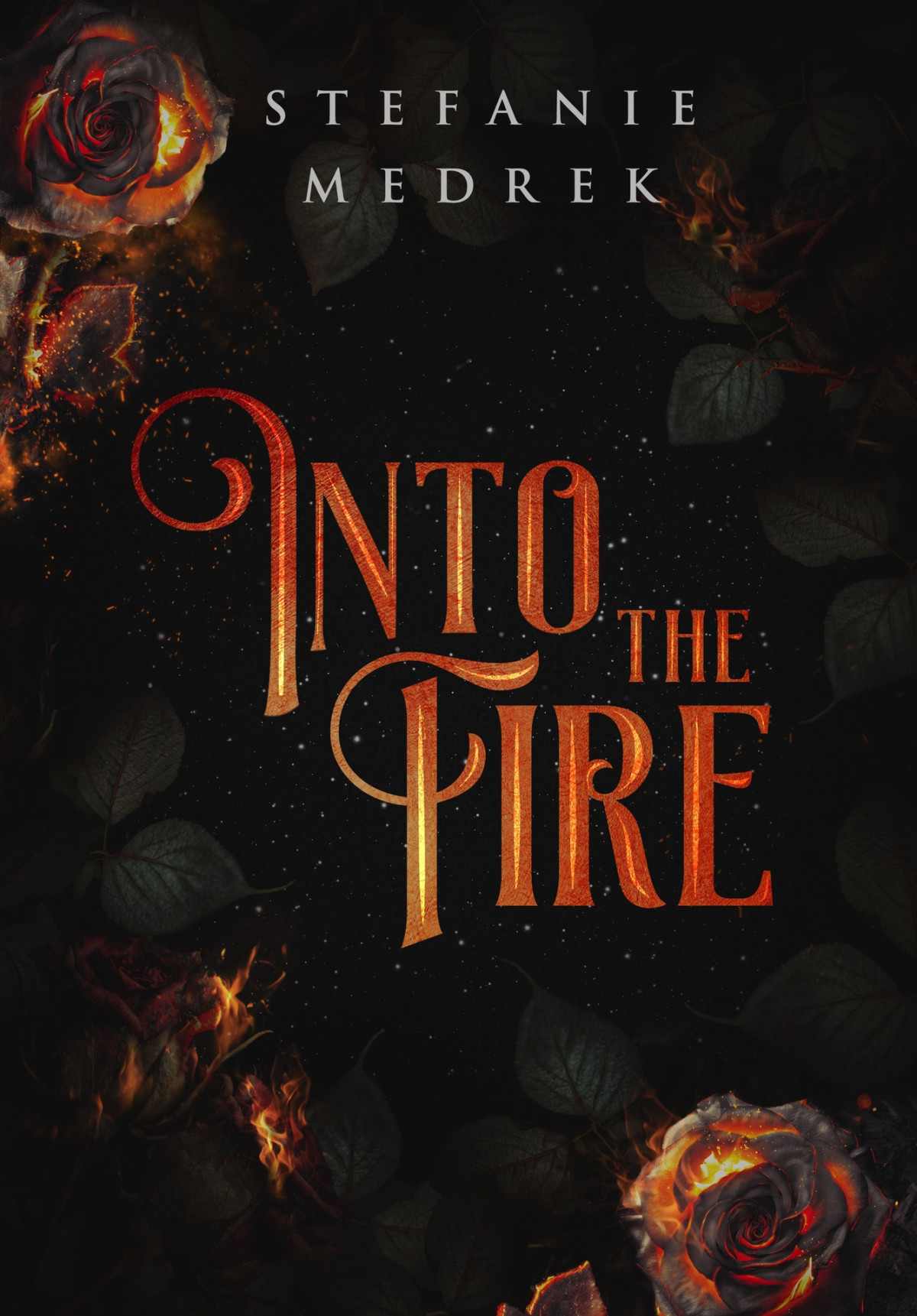 Into The Fire A Flame In The Shadows Trilogy Book One Stefanie Medrek