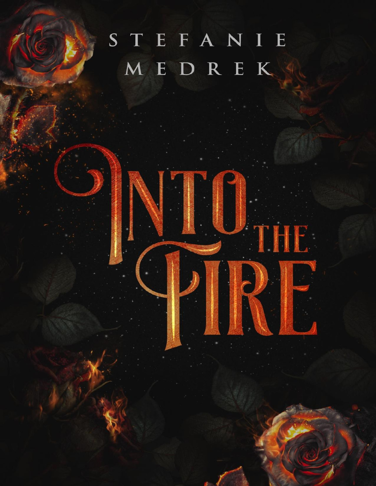 Into The Fire A Flame In The Shadows Trilogy Book One Stefanie Medrek