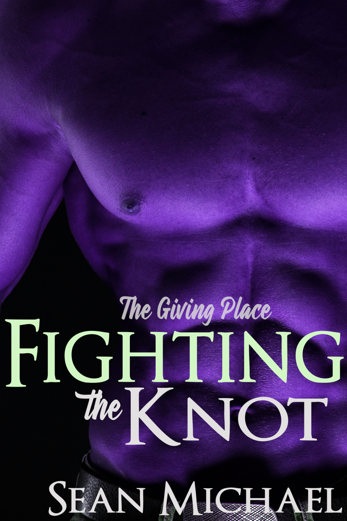 Fighting The Knot The Giving Place Book 4 Sean Michael