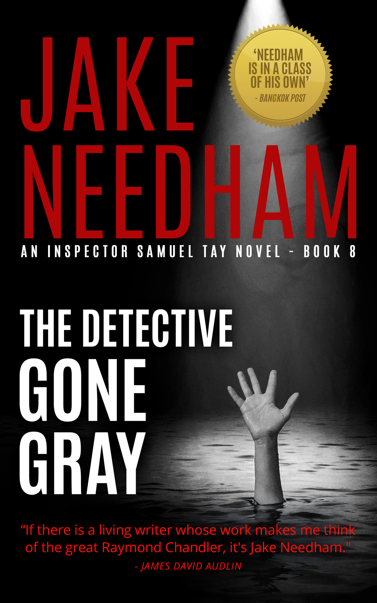 The Detective Gone Gray Jake Needham