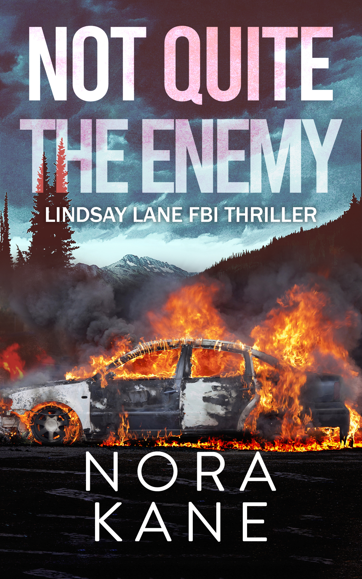 Not Quite The Enemy Lindsay Lane Fbi Thriller Nora Kane