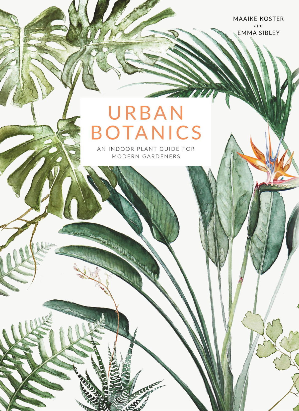 Urban Botanics Maaike Koster