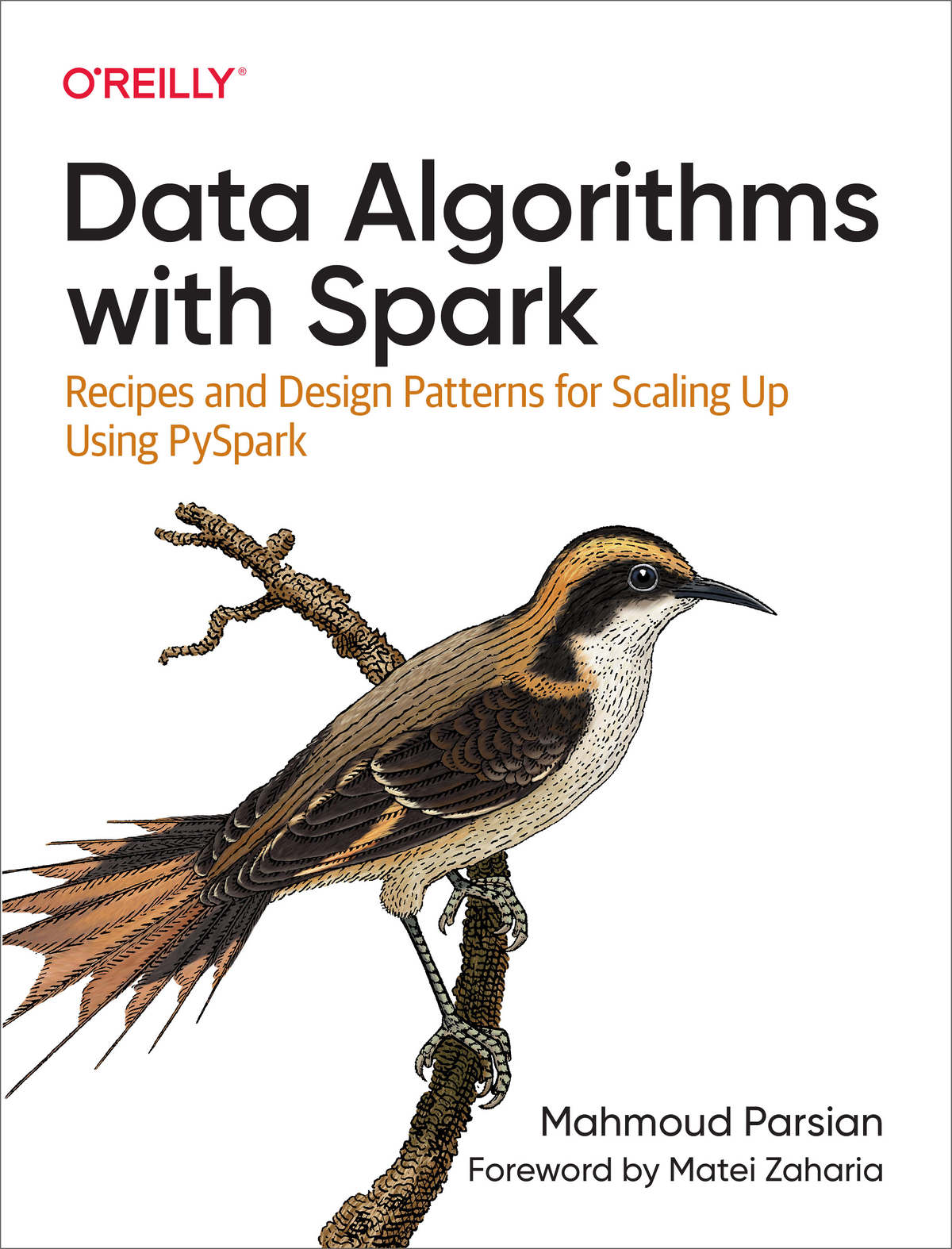 Data Algorithms With Spark Mahmoud Parsian