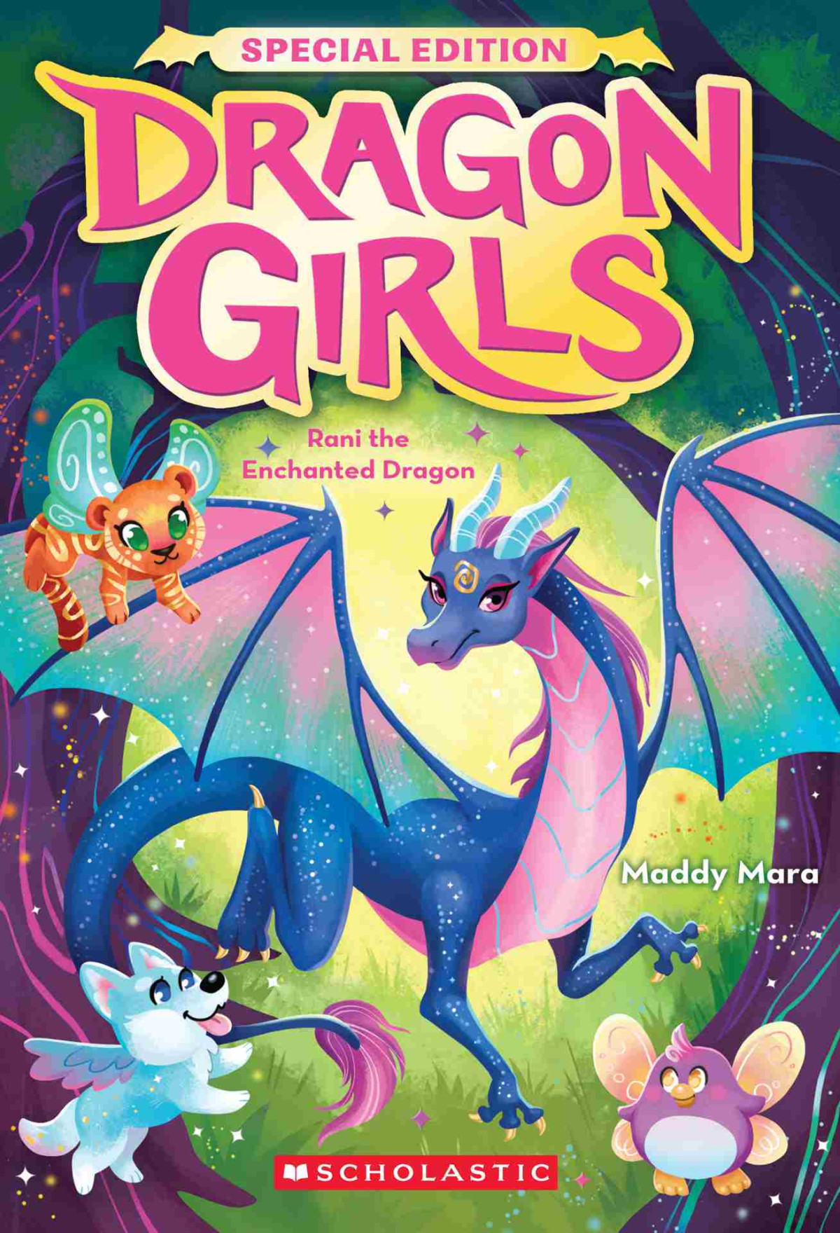 Rani The Enchanted Dragon Maddy Mara