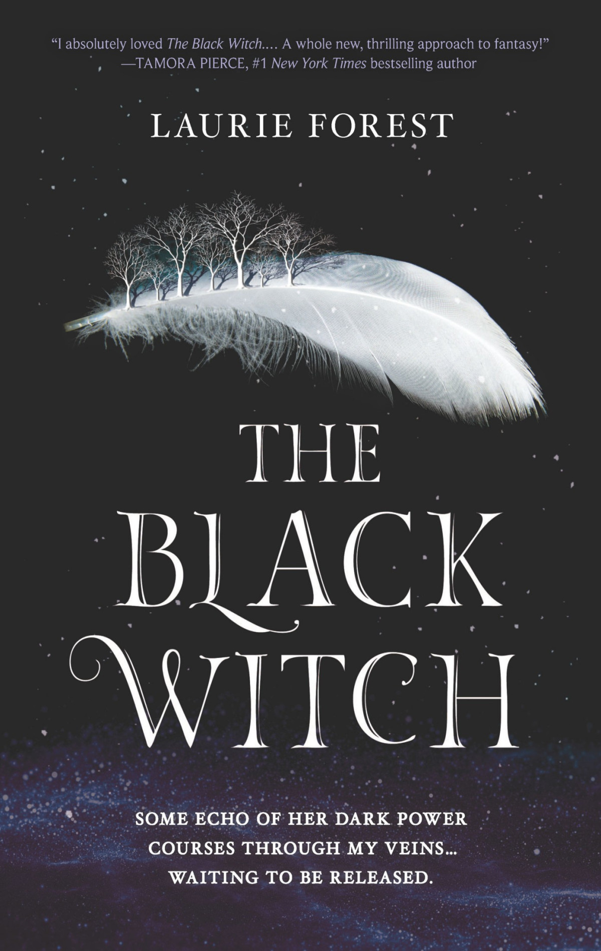 The Black Witch Laurie Forest