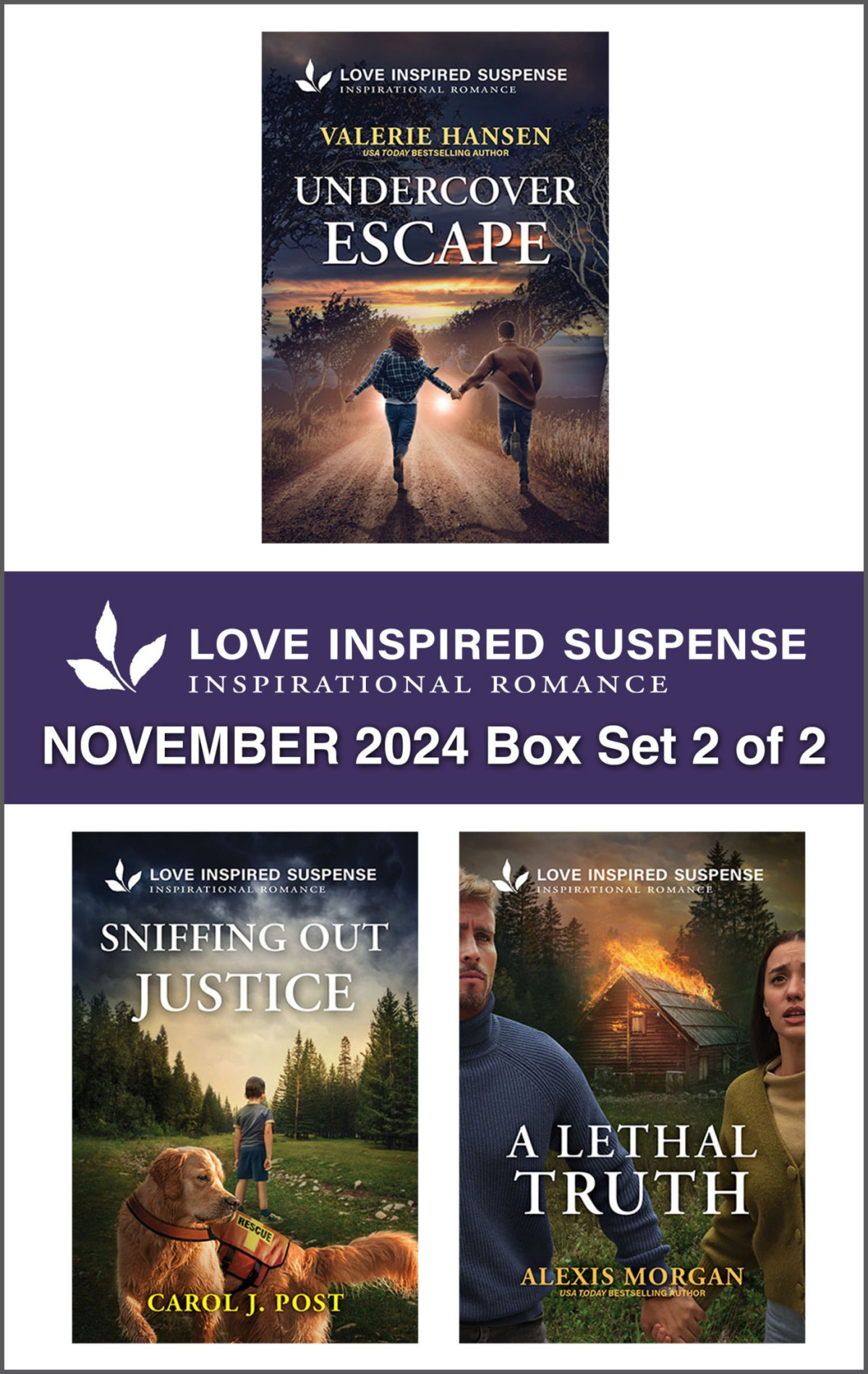 Love Inspired Suspense November 2024 Box Set 2 Of 2 Valerie Hansen