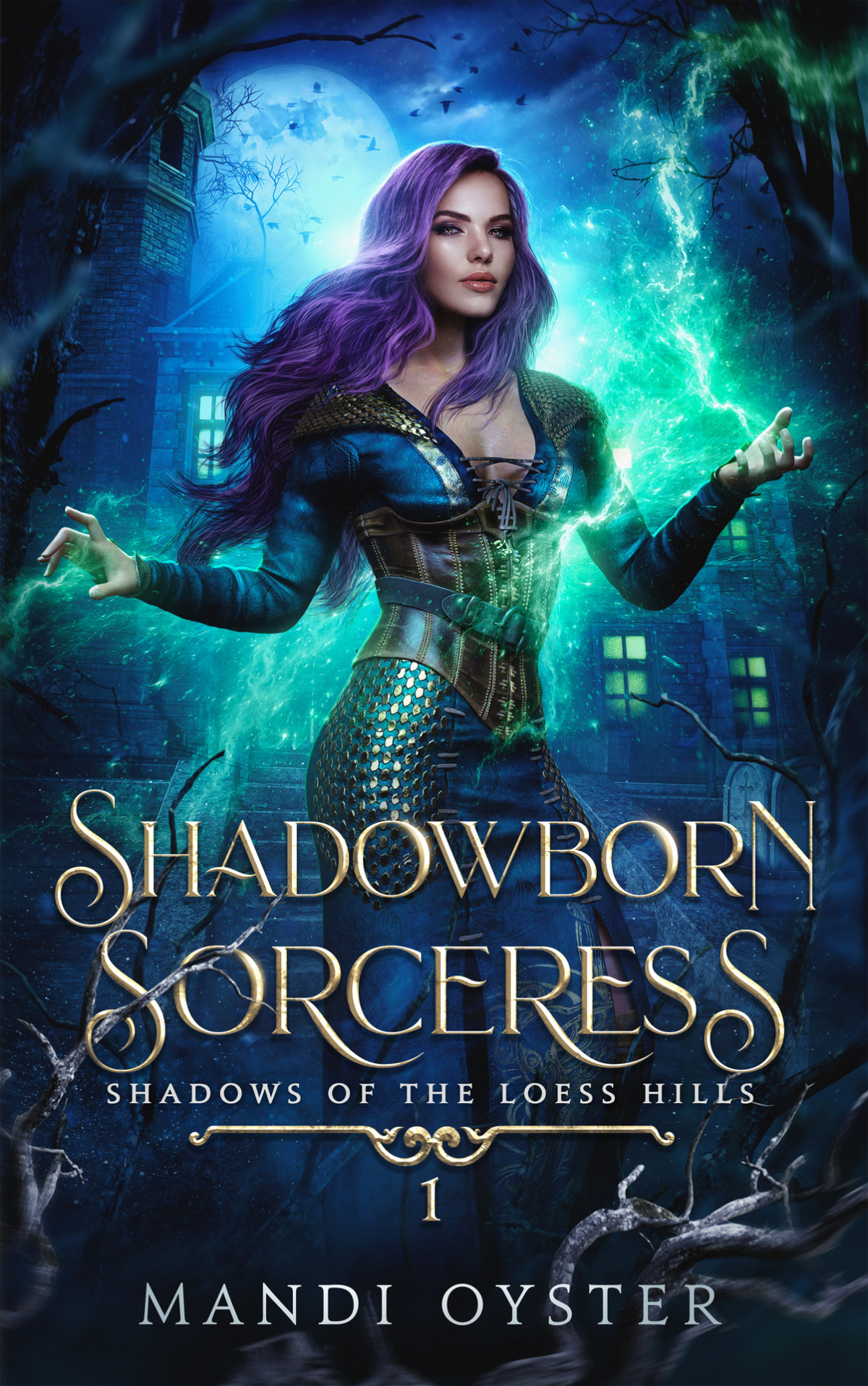 Shadowborn Sorceress A New Adult Urban Fantasy Novel Shadows Of The Loess Hills Book 1 Mandi Oyster