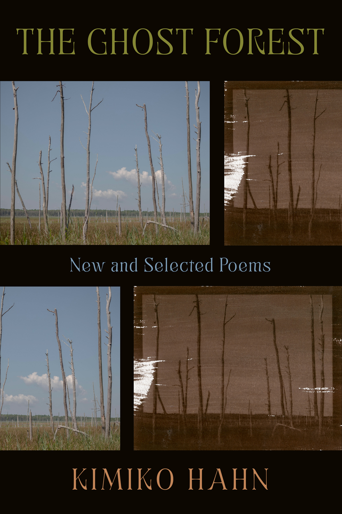 The Ghost Forest New And Selected Poems Kimiko Hahn