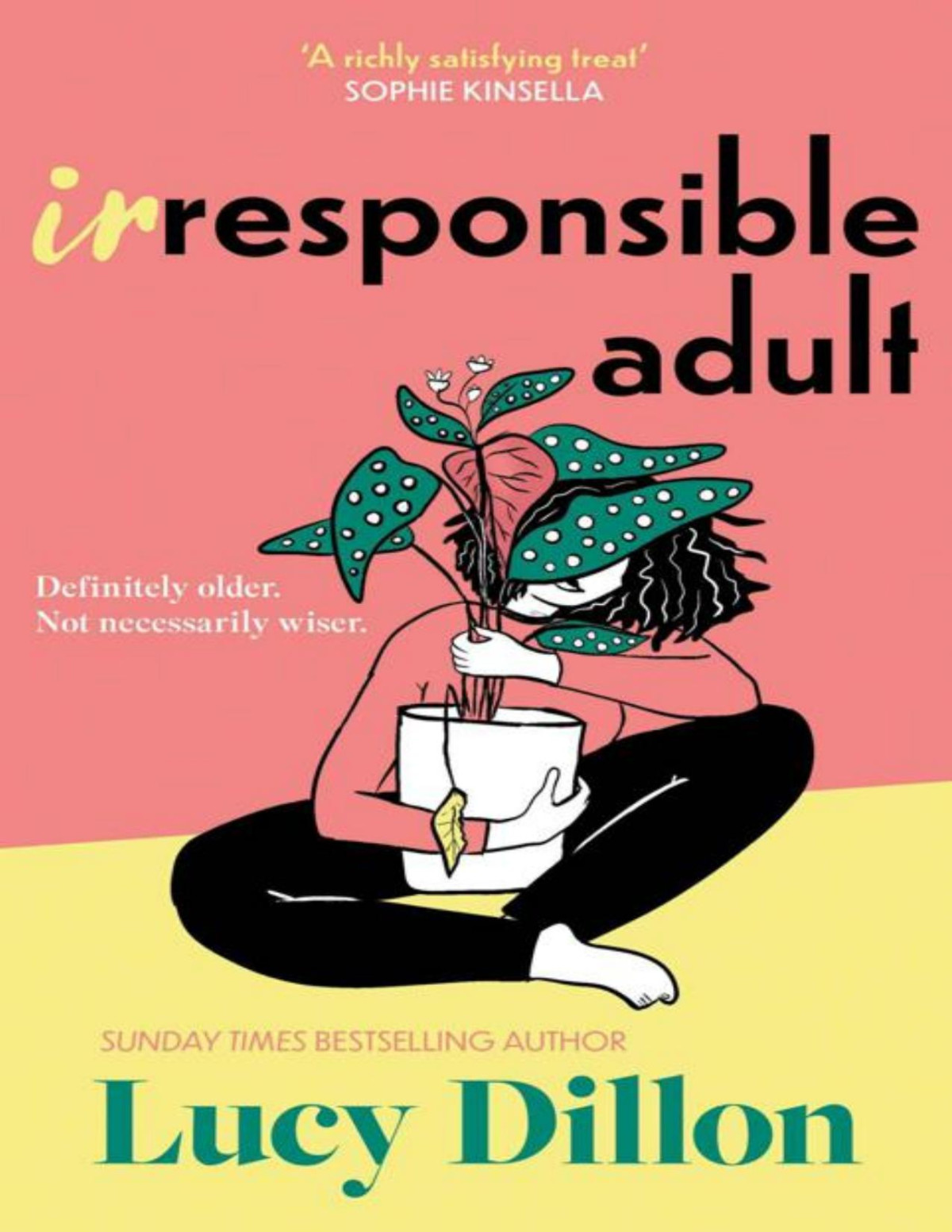 Irresponsible Adult Warm And Witty This Is The Perfect Novel For Anyone Who Is Growing Up Disgracefully Lucy Dillon