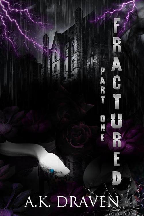 Fractured Dark Why Choose Hitmen Hitwoman Romance The Order Duet Book 1 Ak Draven