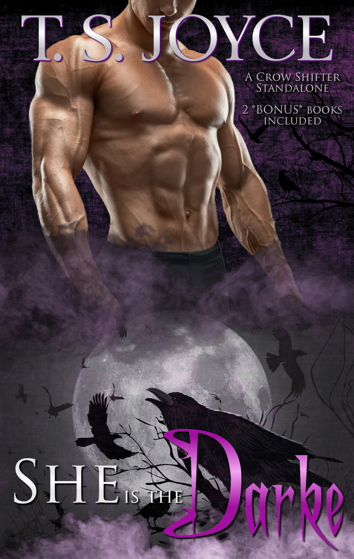 She Is The Darke A Crow Shifter Forbidden Romance Short Story T S Joyce